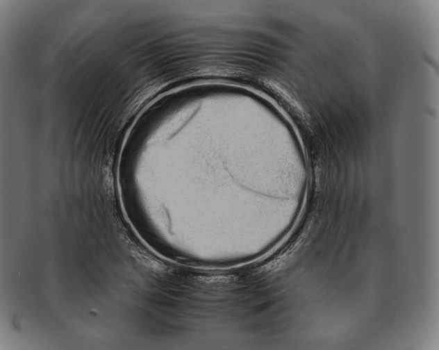 X0000090991025200708241421