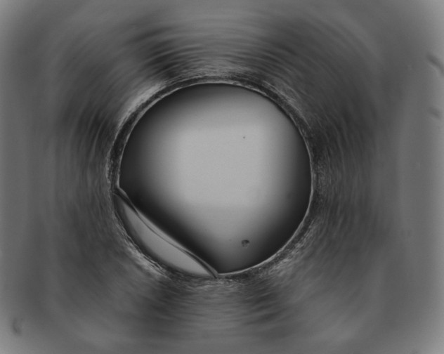 X0000090991026200708241421