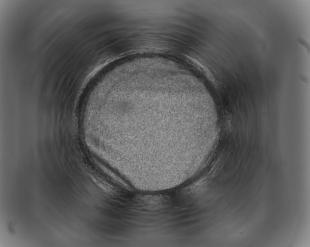 X0000090991027200708241421