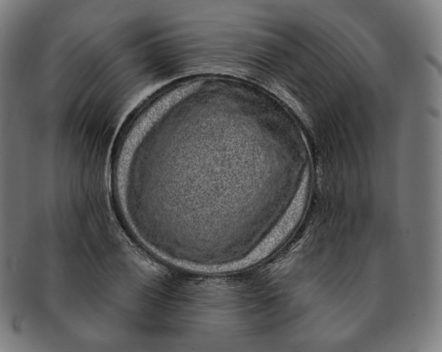 X0000090991028200708241421