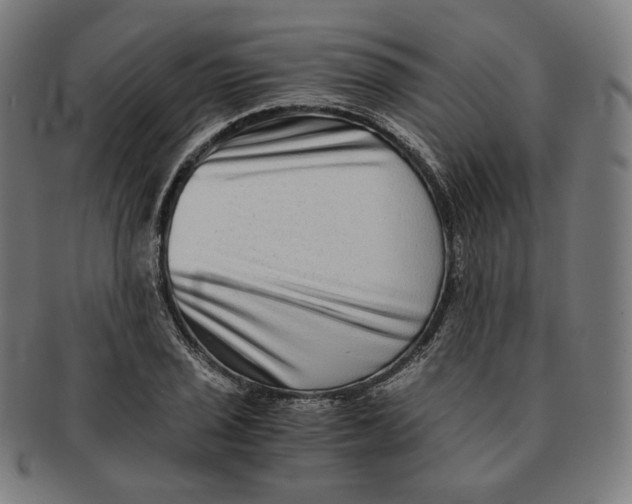 X0000090991029200708241421