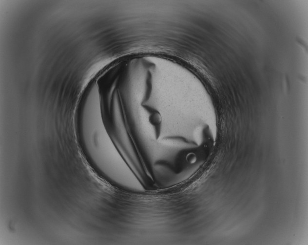 X0000090991030200708241421