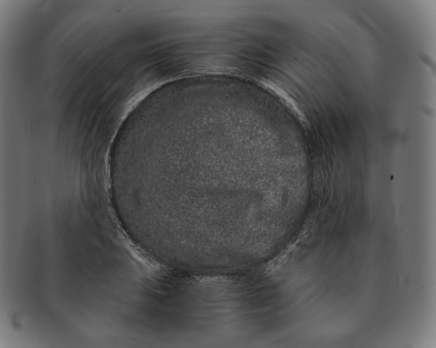 X0000090991031200708241421