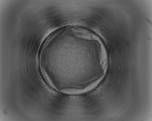 X0000090991032200708241421