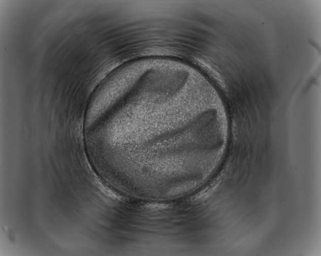 X0000090991033200708241421