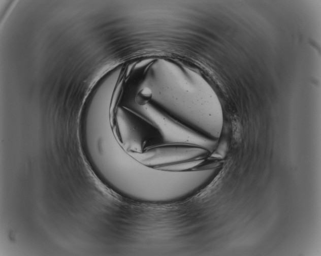 X0000090991034200708241421