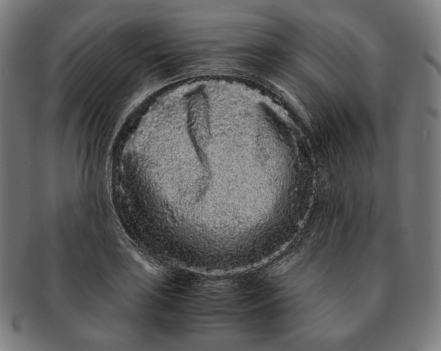 X0000090991035200708241421