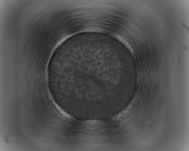 X0000090991037200708241421