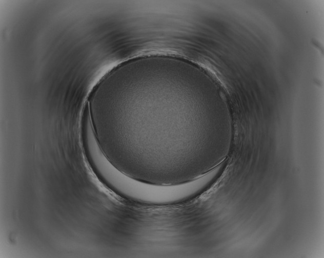 X0000090991038200708241421