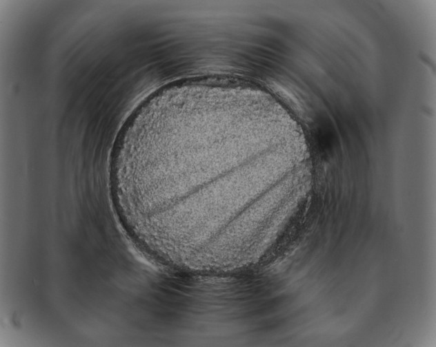 X0000090991039200708241421