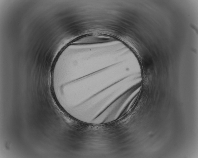 X0000090991040200708241421