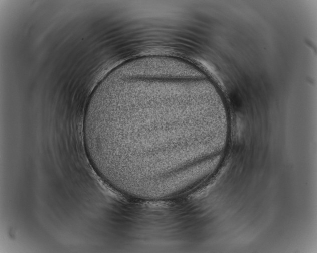 X0000090991041200708241421