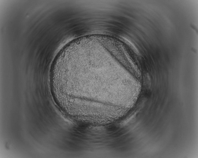 X0000090991043200708241421