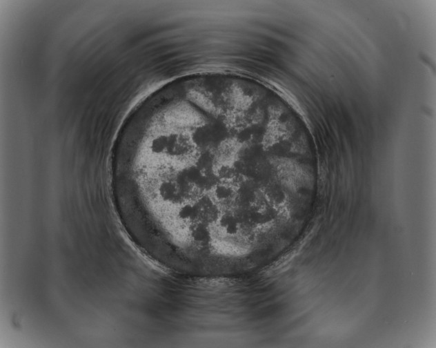 X0000090991045200708241421