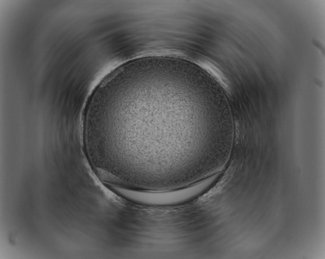 X0000090991046200708241421