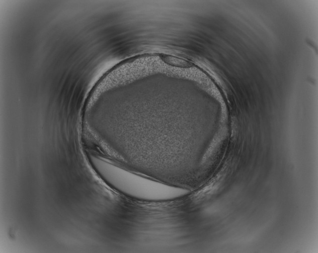 X0000090991048200708241421