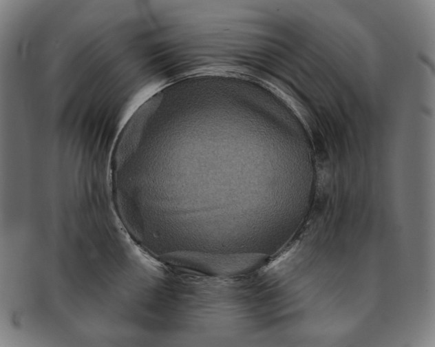 X0000090991050200708241421