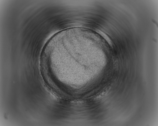 X0000090991051200708241421