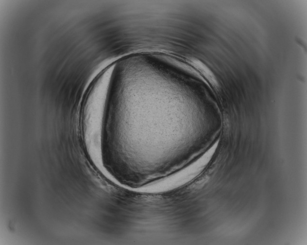 X0000090991052200708241421