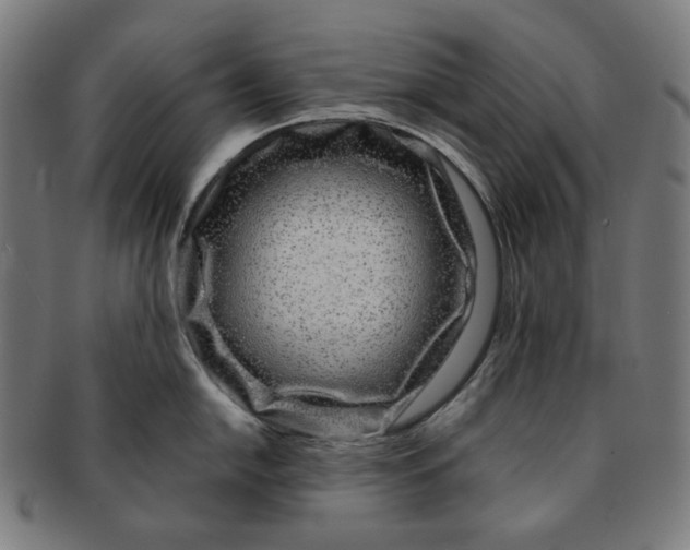 X0000090991054200708241421