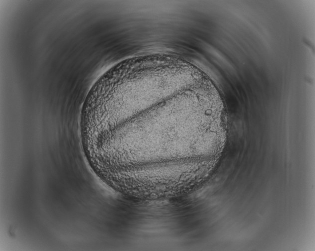 X0000090991055200708241421