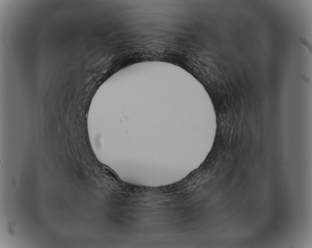 X0000090991057200708241421