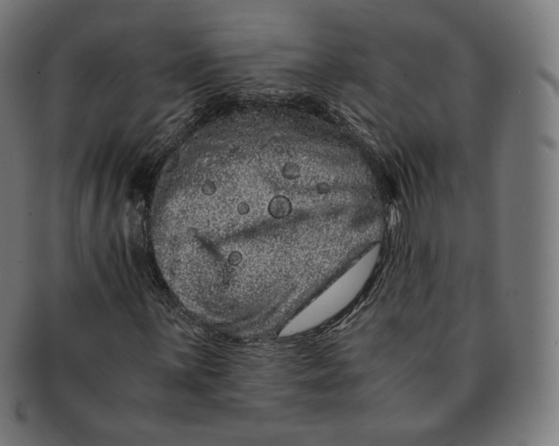 X0000090991059200708241421