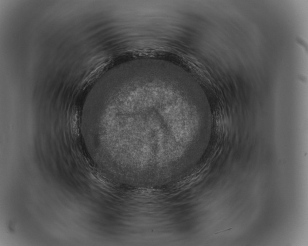 X0000090991060200708241421