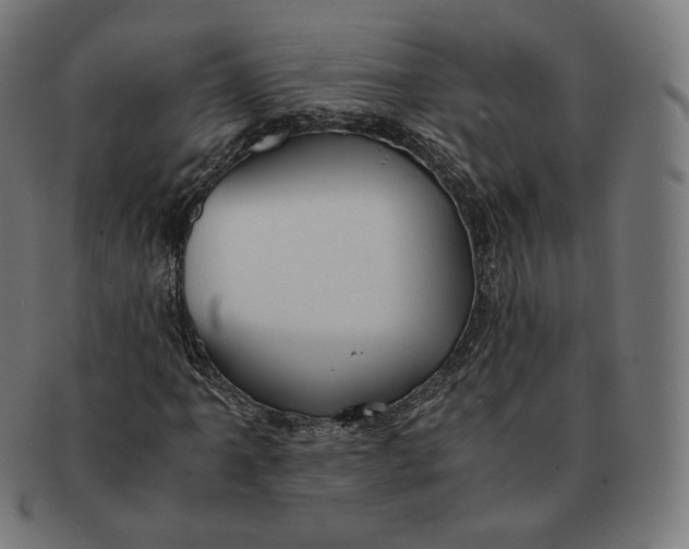 X0000090991061200708241421