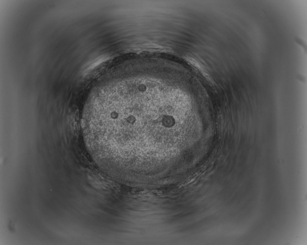 X0000090991063200708241421