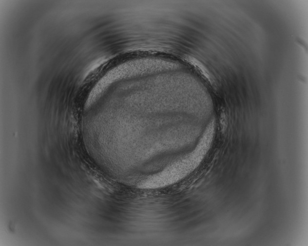 X0000090991064200708241421