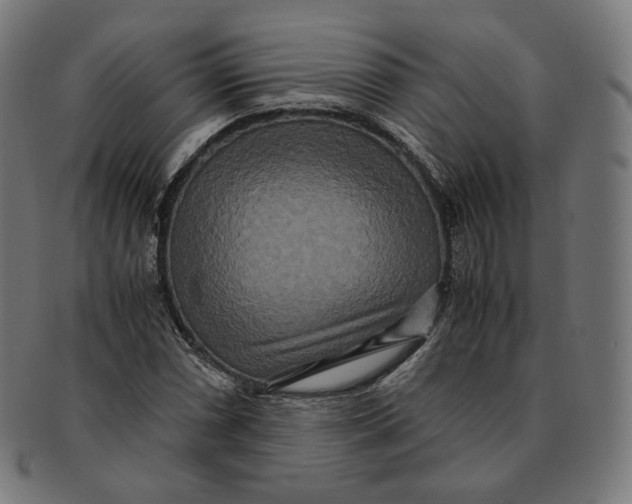 X0000090991066200708241421