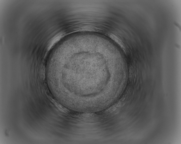 X0000090991067200708241421