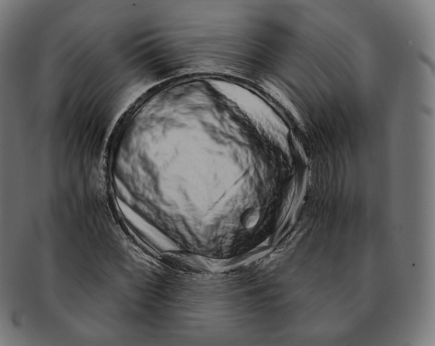 X0000090991068200708241421