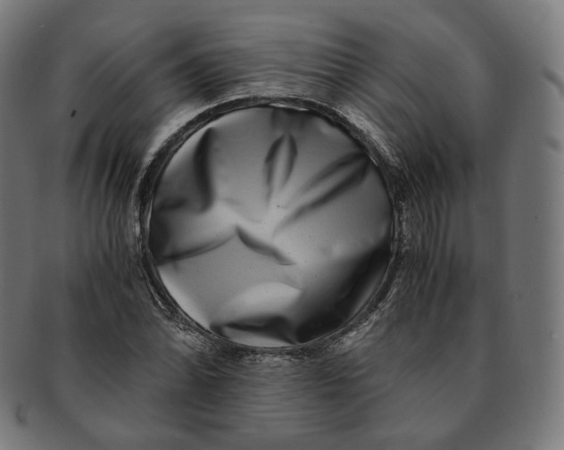 X0000090991070200708241421