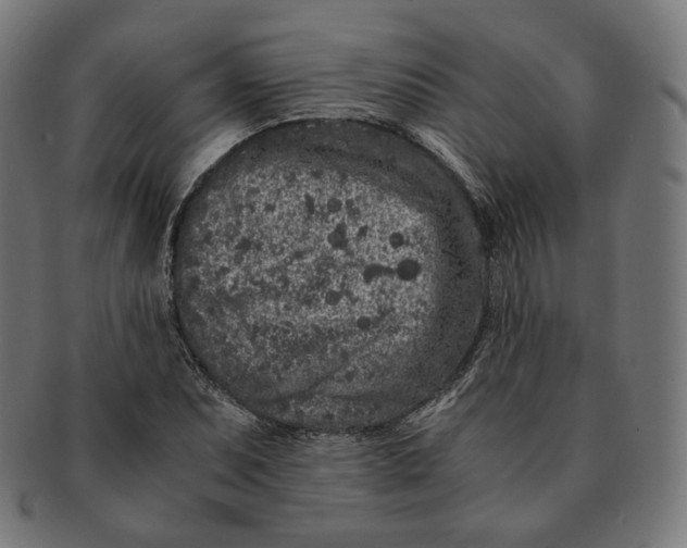 X0000090991071200708241421