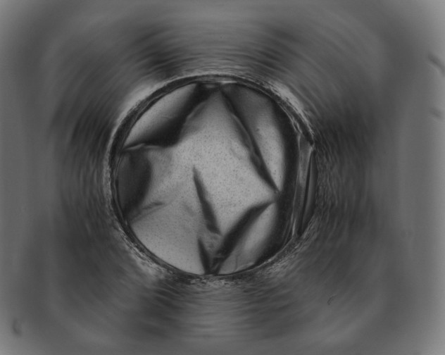 X0000090991072200708241420