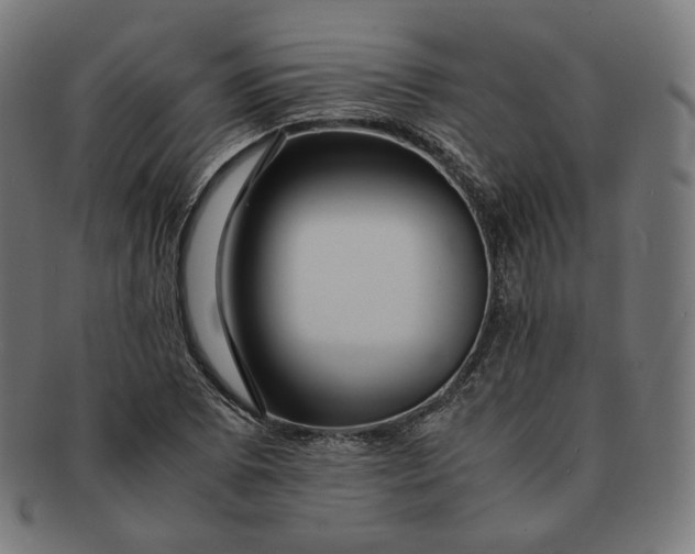 X0000090991073200708241420