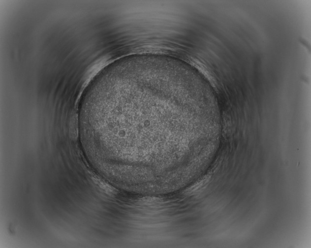 X0000090991075200708241420