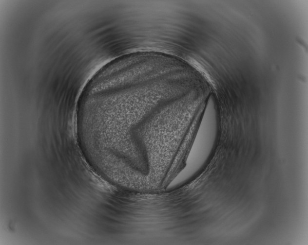 X0000090991076200708241420