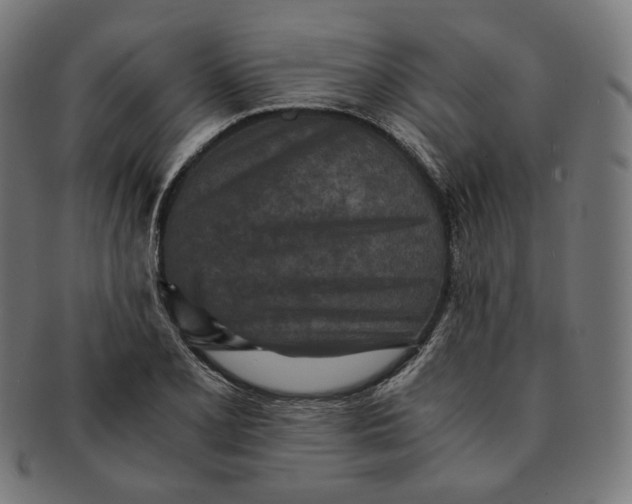 X0000090991077200708241420