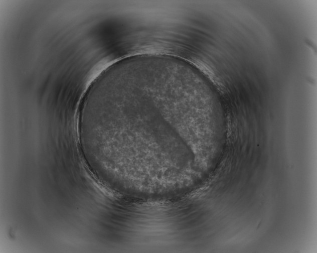 X0000090991078200708241420