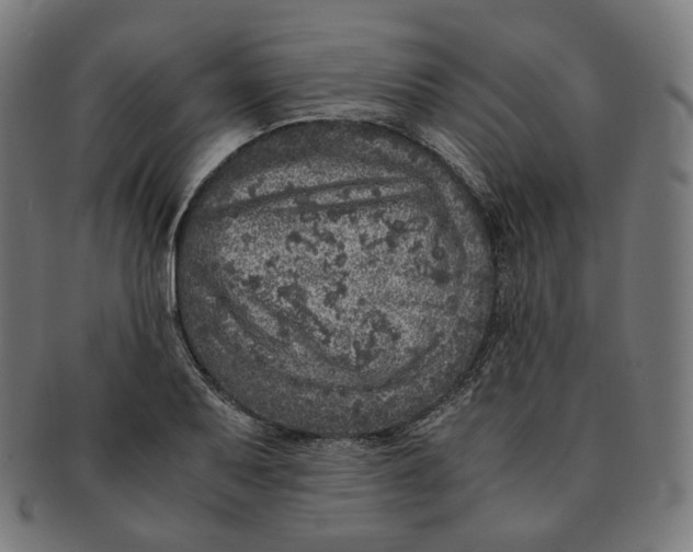 X0000090991079200708241420