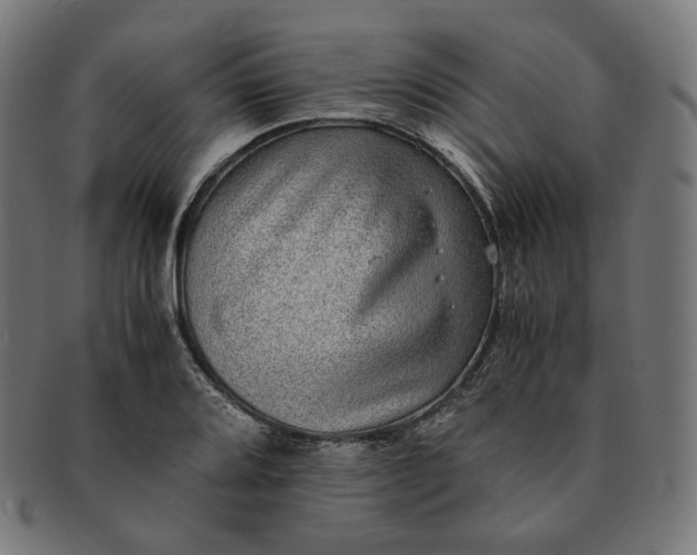 X0000090991080200708241420