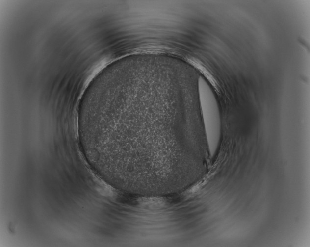 X0000090991083200708241420