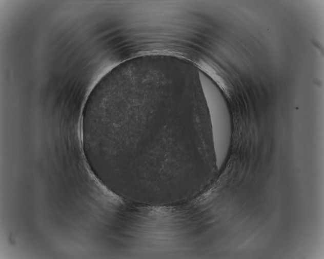 X0000090991084200708241420