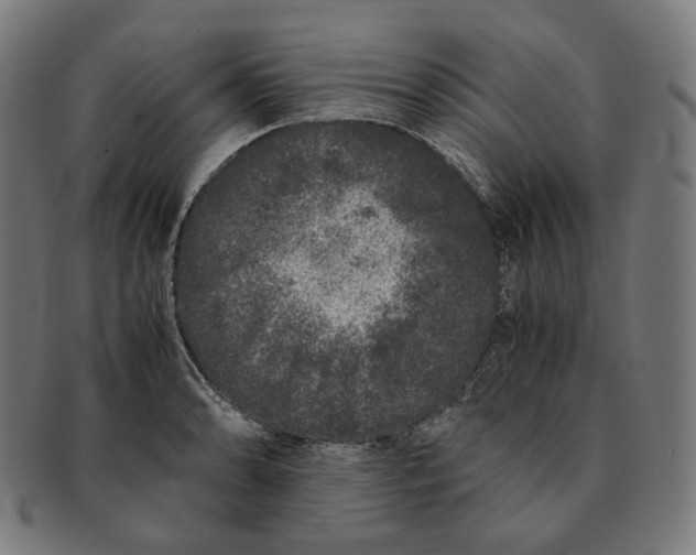 X0000090991086200708241420