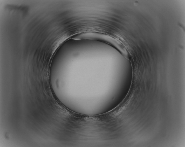 X0000090991089200708241420