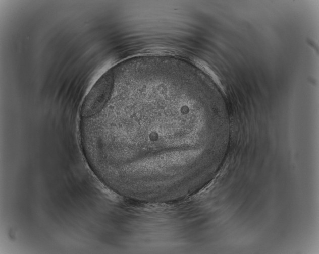 X0000090991091200708241420