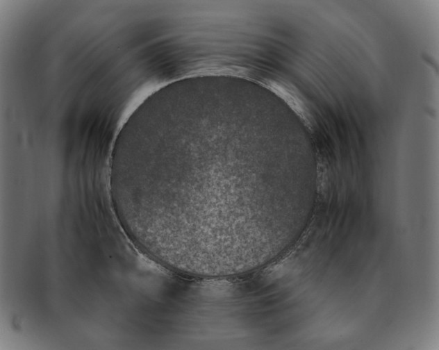 X0000090991094200708241420